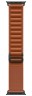 Смарт-часы Apple Watch Ultra 3 (2025) 49mm Black Titanium Case with Terra Cotta Alpine Loop 