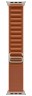 Смарт-часы Apple Watch Ultra 3 (2025) 49mm Natural Titanium Case with Terra Cotta Alpine Loop 